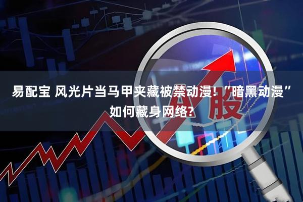 易配宝 风光片当马甲夹藏被禁动漫! “暗黑动漫”如何藏身网络?