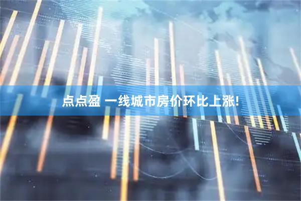 点点盈 一线城市房价环比上涨!