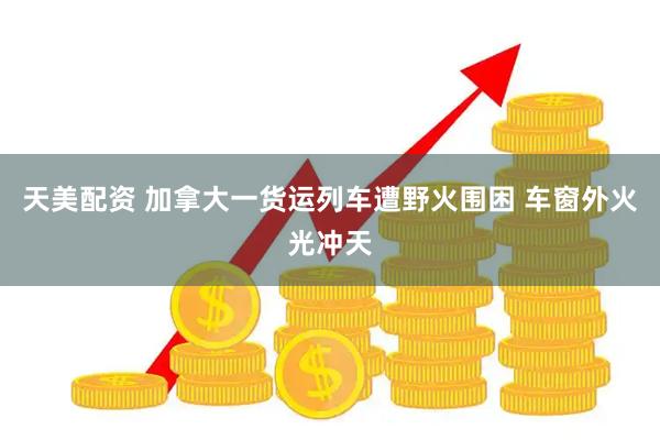 天美配资 加拿大一货运列车遭野火围困 车窗外火光冲天